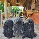 Kastely Szallas Gazde/Camere de închiriat *